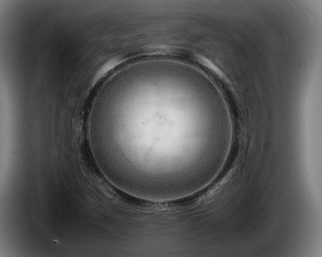 X0000085211259200703091131