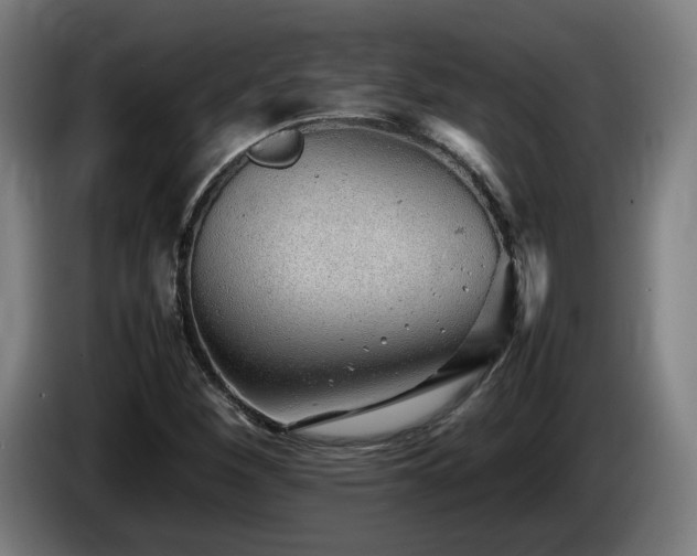 X0000085211260200703091131