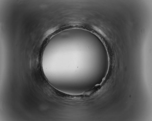 X0000085211261200703091131