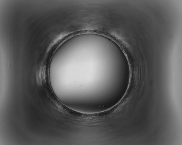 X0000085211262200703091131