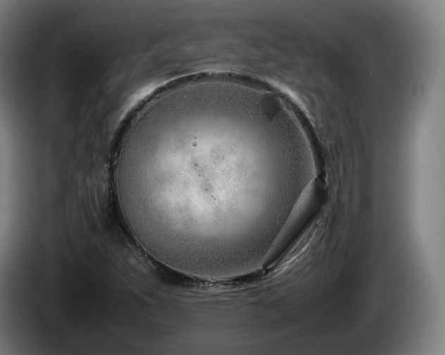 X0000085211263200703091131