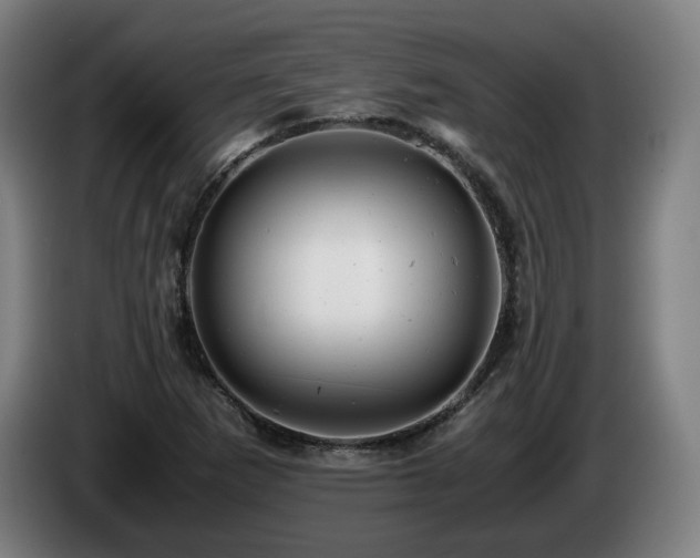 X0000085211265200703091131