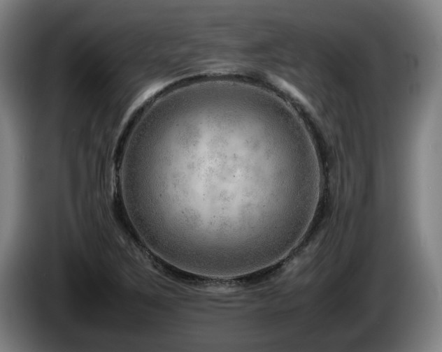 X0000085211267200703091131