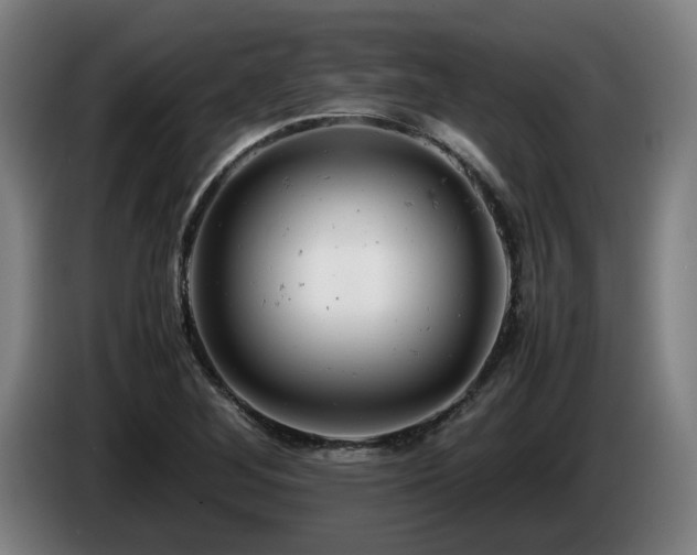 X0000085211268200703091131