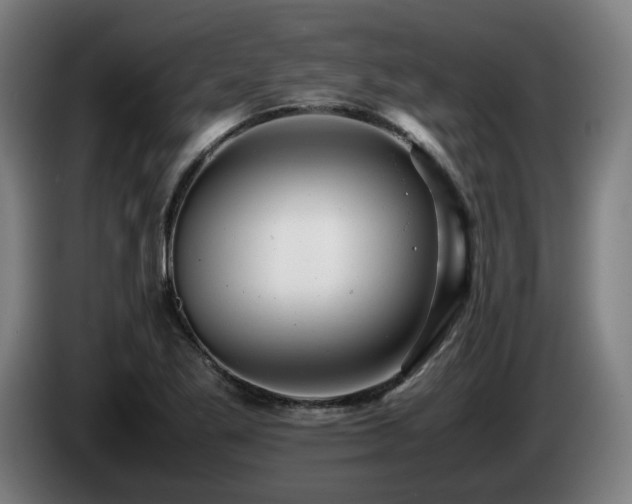 X0000085211269200703091131
