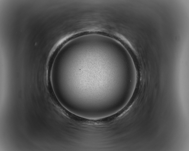 X0000085211270200703091131