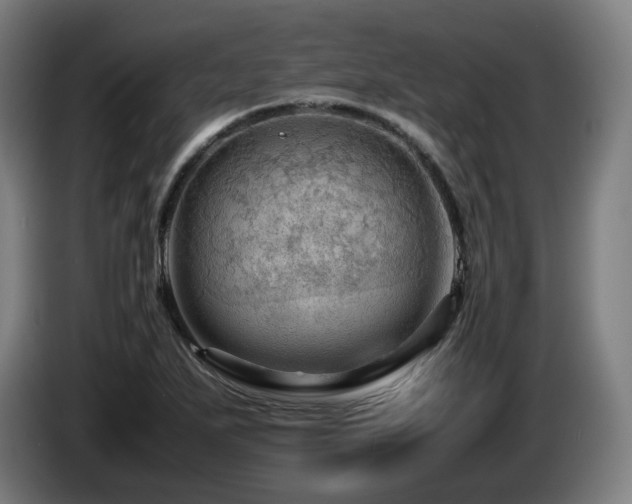 X0000085211271200703091131