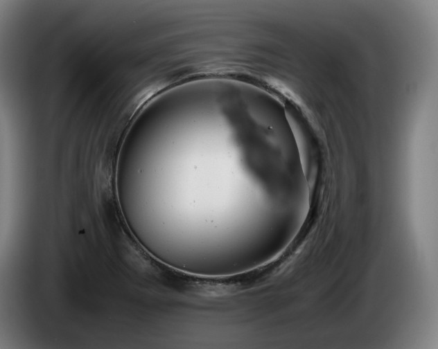 X0000085211273200703091131