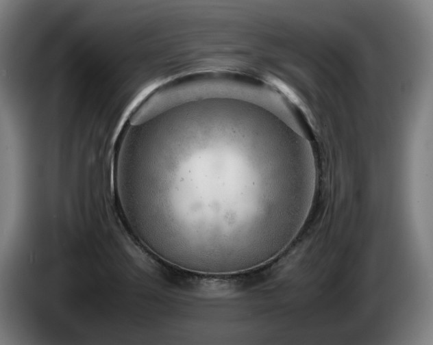 X0000085211275200703091131