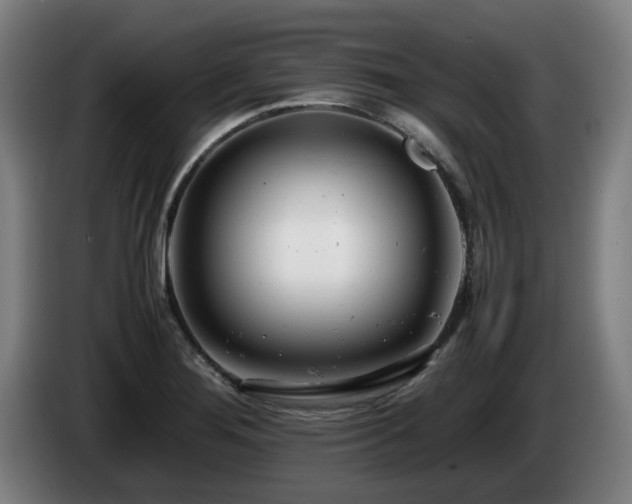 X0000085211276200703091131