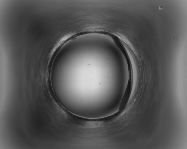 X0000085211277200703091131