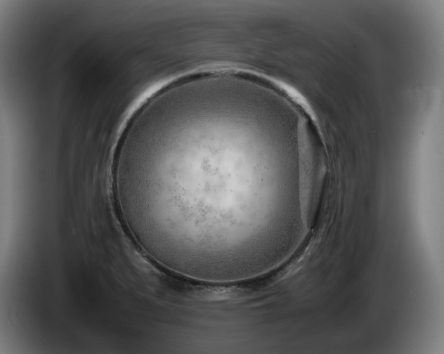 X0000085211279200703091131