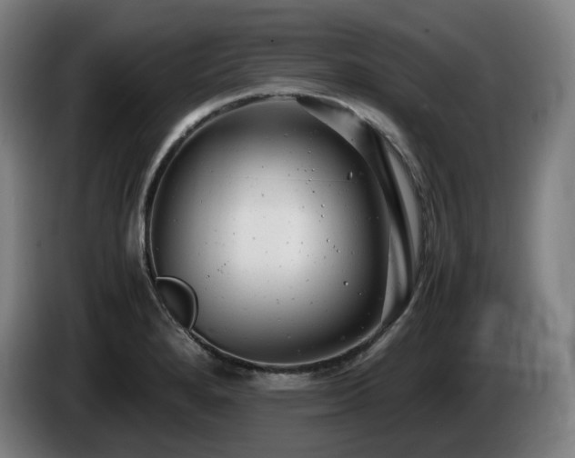 X0000085211280200703091131