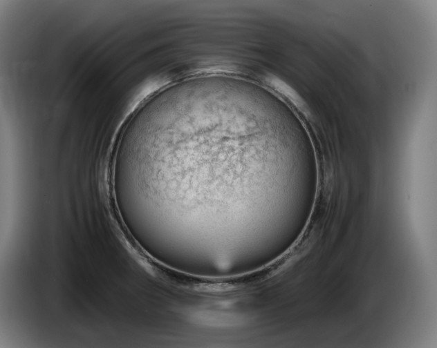 X0000085211282200703091131