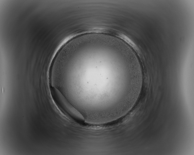 X0000085211283200703091131