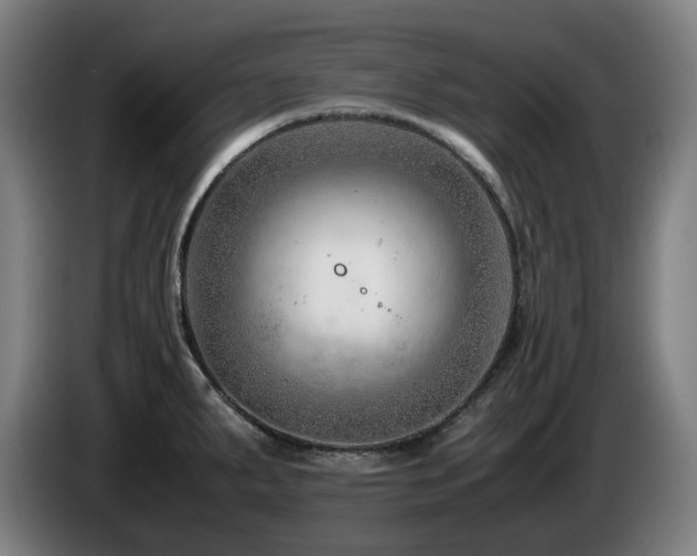 X0000085211287200703091131