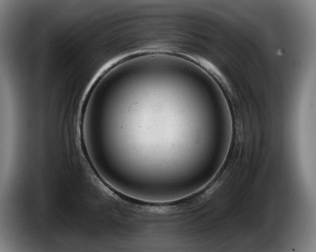 X0000085211288200703091131