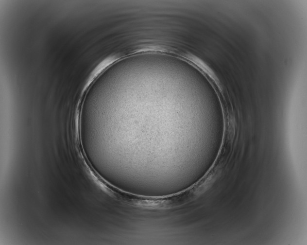 X0000085211290200703091131