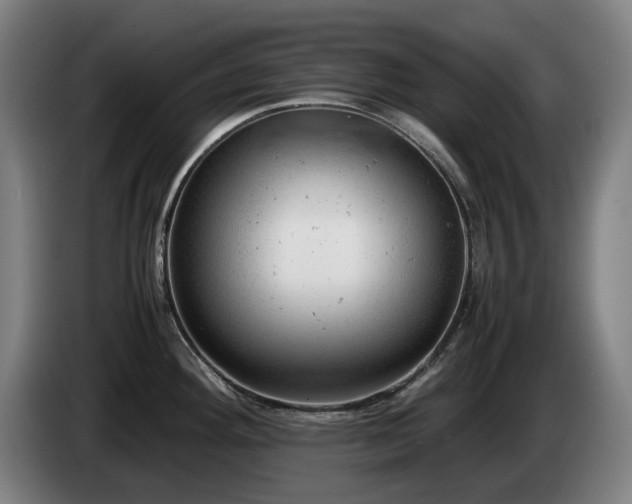 X0000085211292200703091131