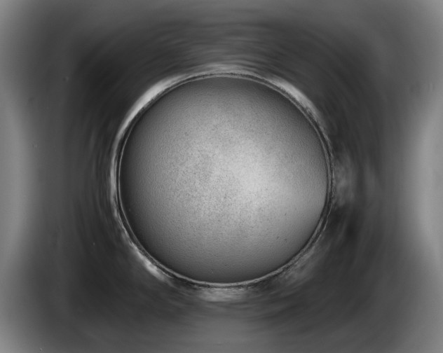 X0000085211294200703091131