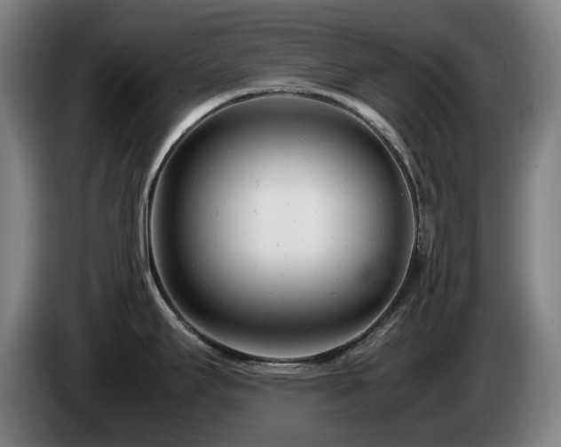 X0000085211295200703091131
