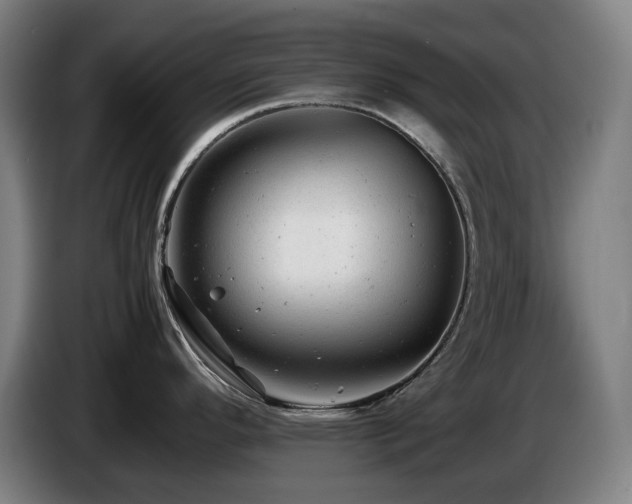 X0000085211296200703091131