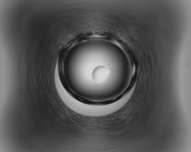 X0000085211298200703091130