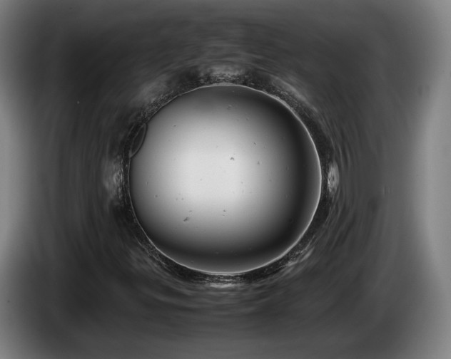 X0000085211299200703091130
