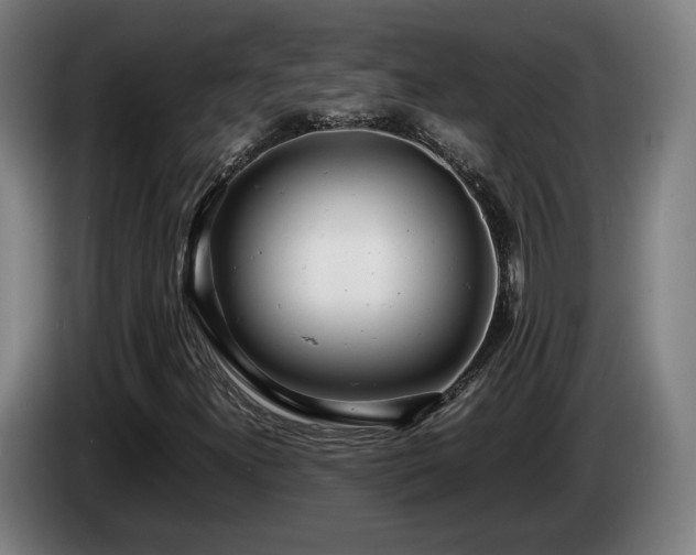 X0000085211300200703091130