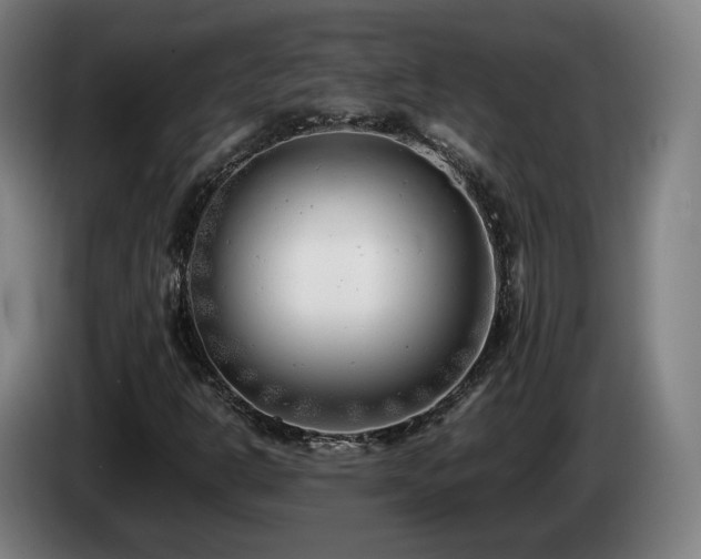 X0000085211302200703091130