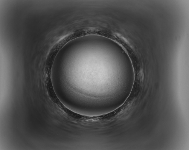 X0000085211303200703091130