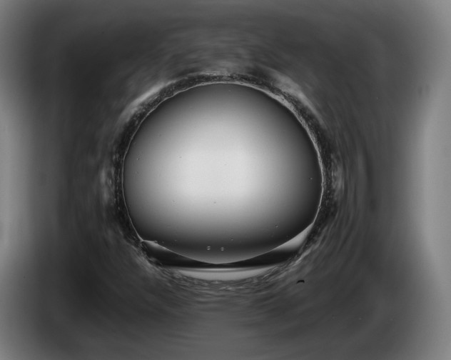 X0000085211304200703091130