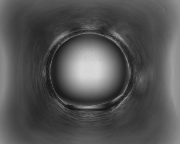 X0000085211307200703091130