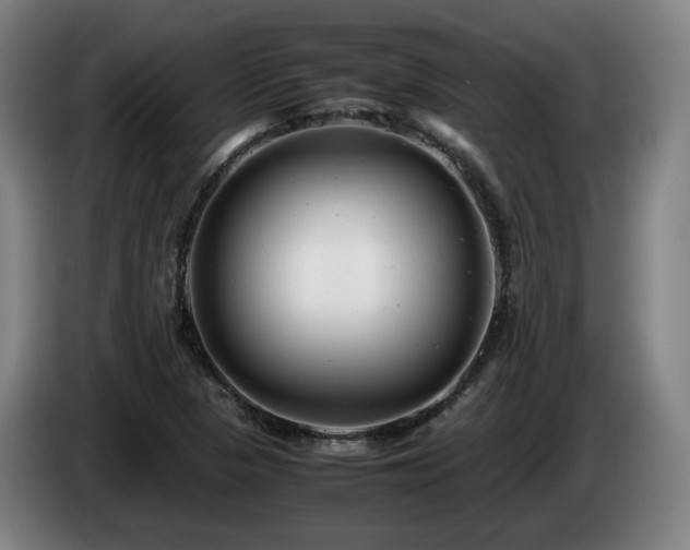 X0000085211313200703091130