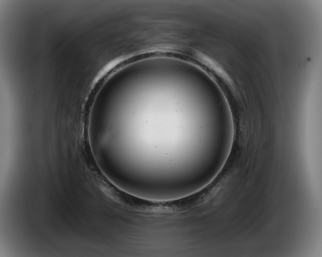 X0000085211316200703091130