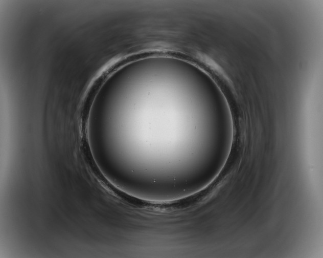 X0000085211318200703091130