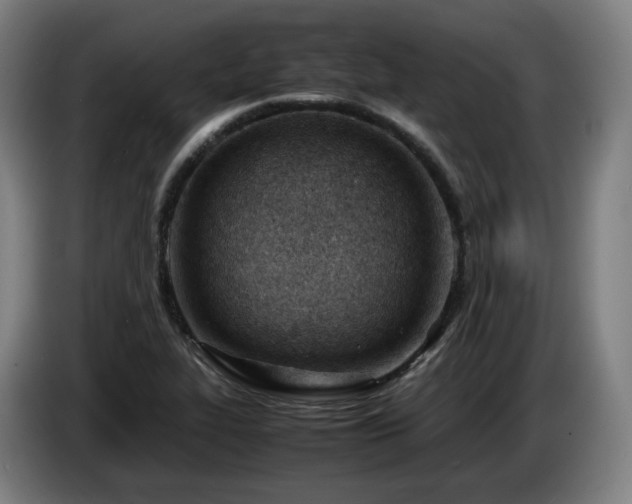 X0000085211319200703091130