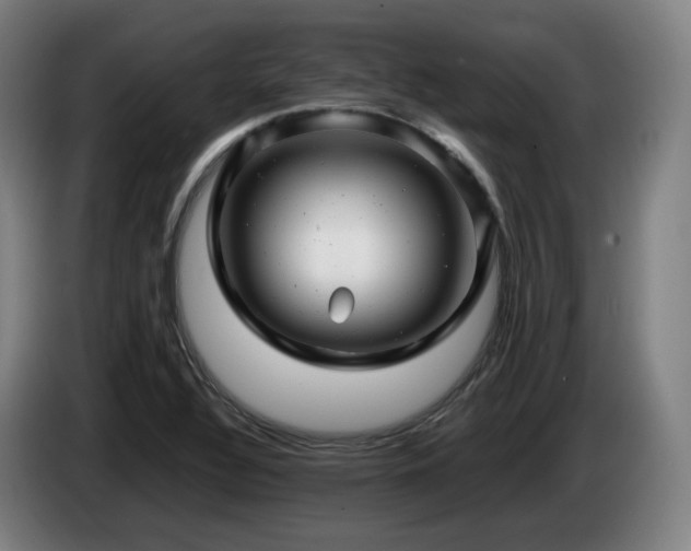 X0000085211320200703091130
