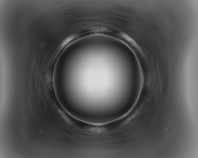 X0000085211321200703091130