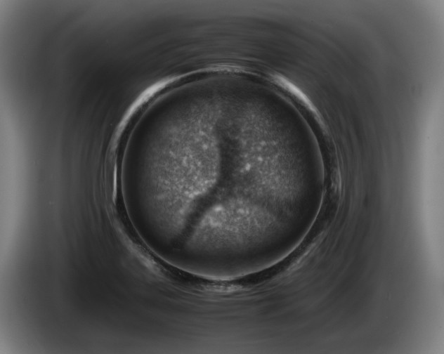 X0000085211323200703091130