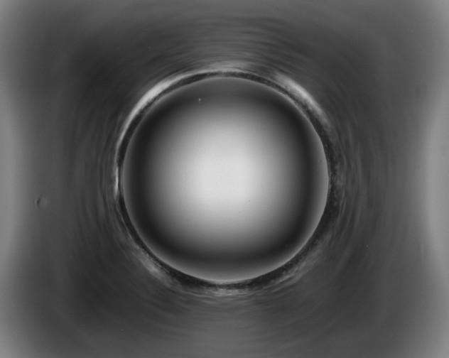 X0000085211324200703091130