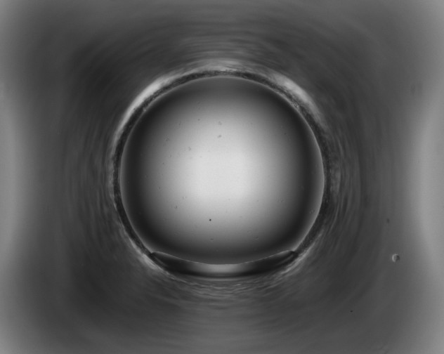X0000085211326200703091130