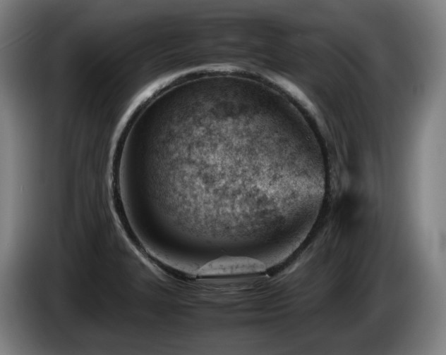 X0000085211327200703091130