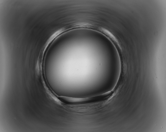 X0000085211330200703091130