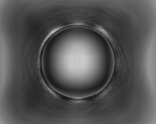 X0000085211331200703091130