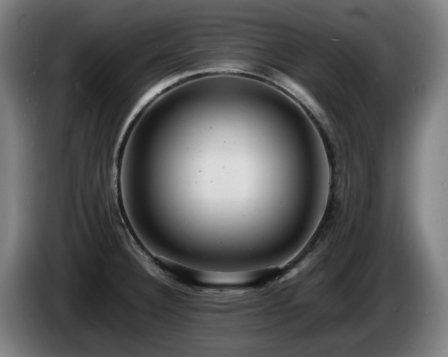 X0000085211332200703091130