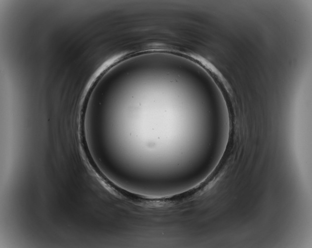 X0000085211333200703091130