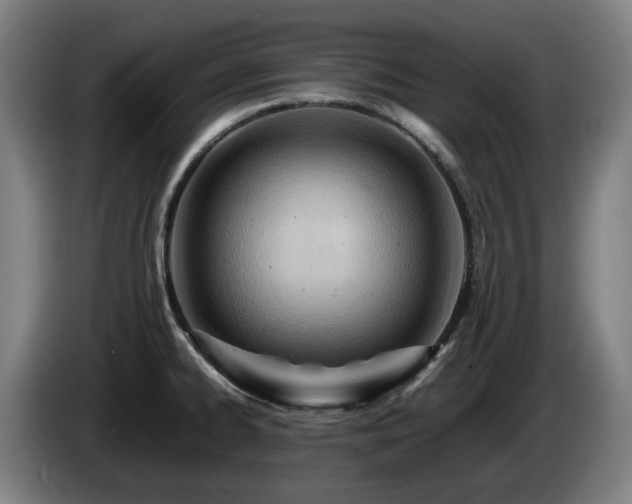 X0000085211334200703091130