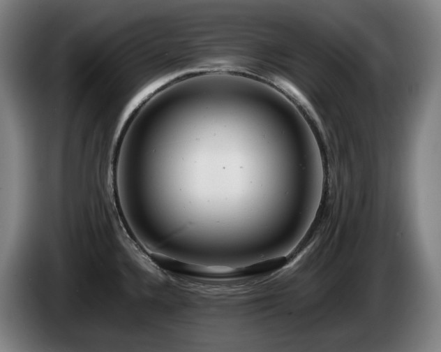 X0000085211336200703091131
