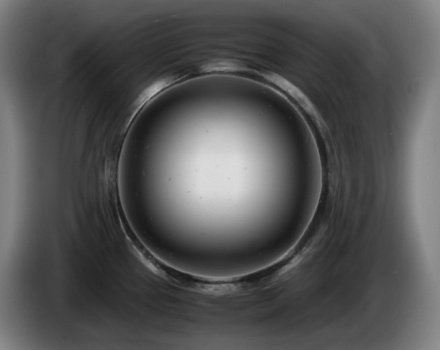 X0000085211337200703091131